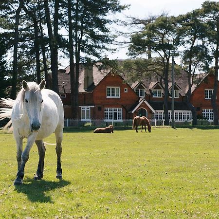 Beaulieu Hotel Lyndhurst Zewnętrze zdjęcie